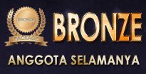 Paket Bronze